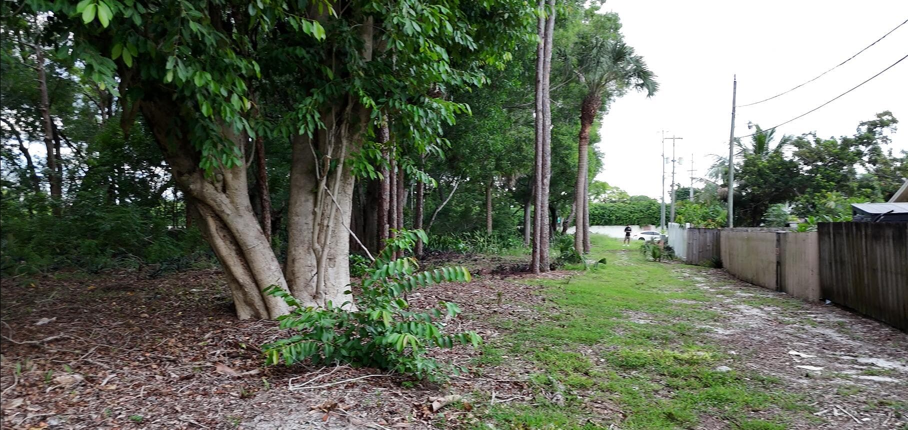 0000 Lantana Road, Atlantis, view 3