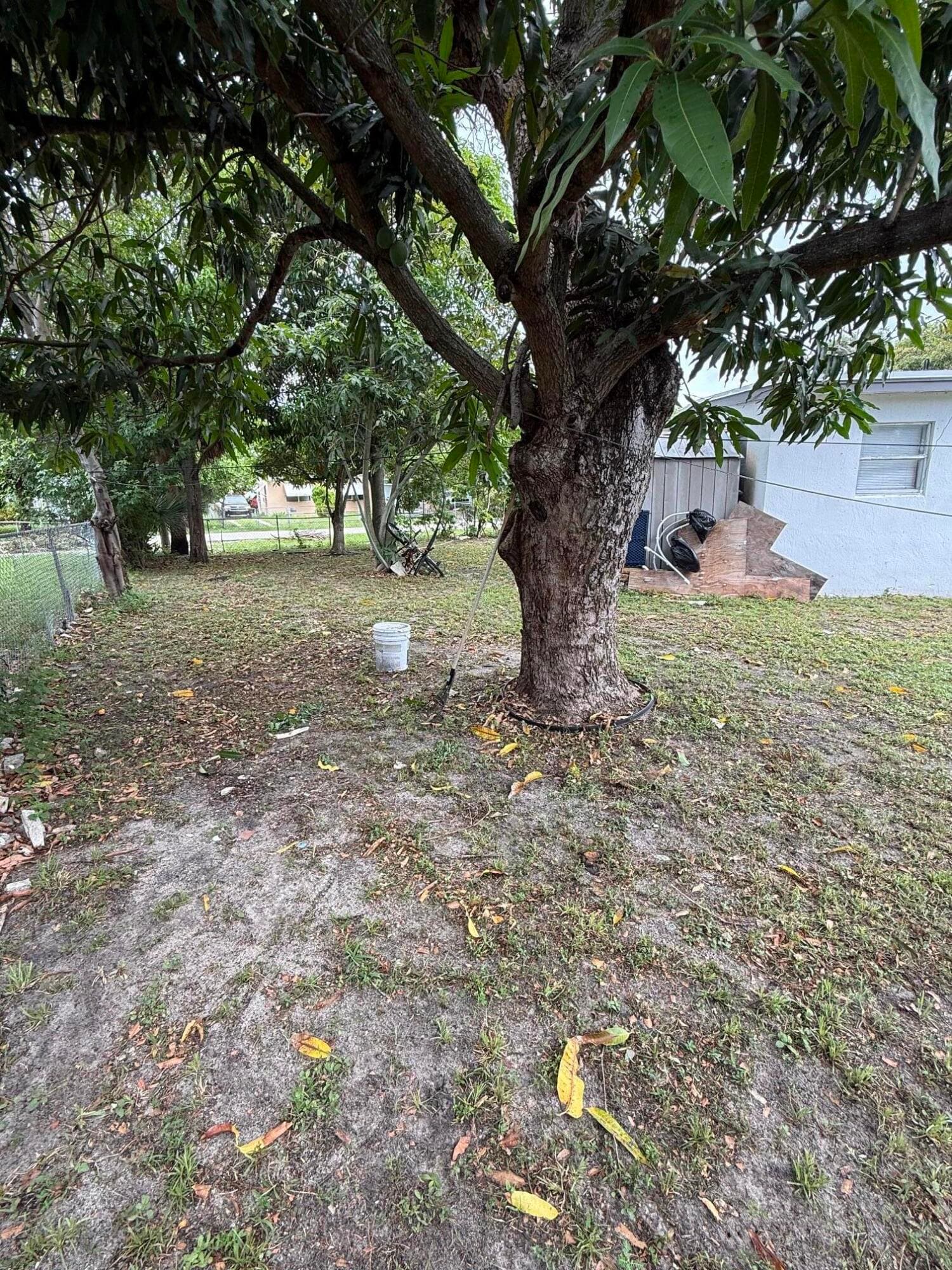 440 Tulip Tree Drive, Lake Worth, view 3