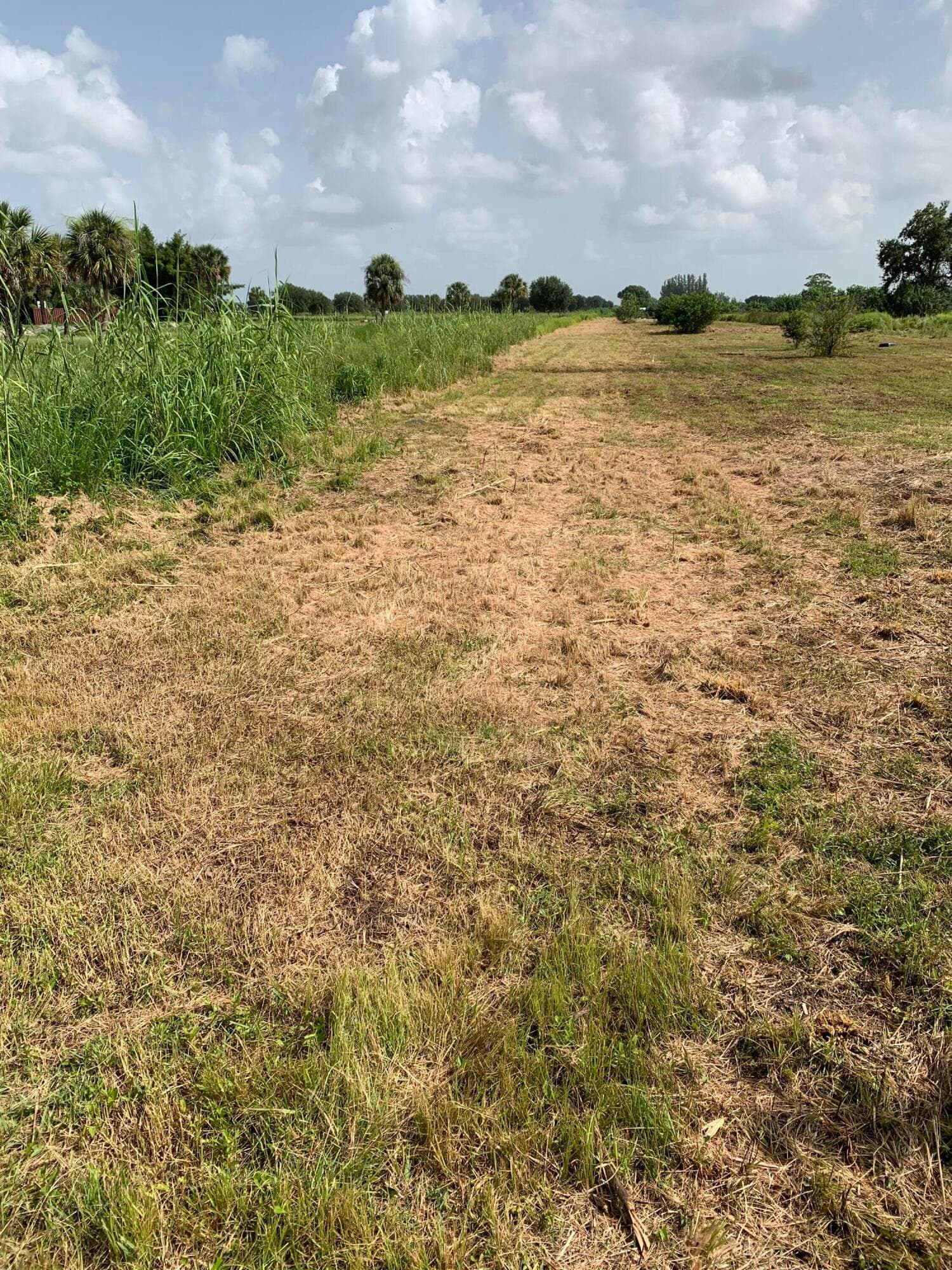20637 Simone Drive, Loxahatchee