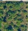 13074 71st Place N, The Acreage