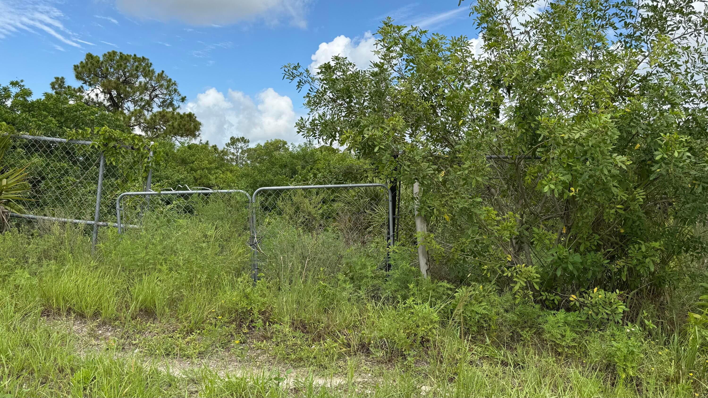 13074 71st Place N, The Acreage, view 3