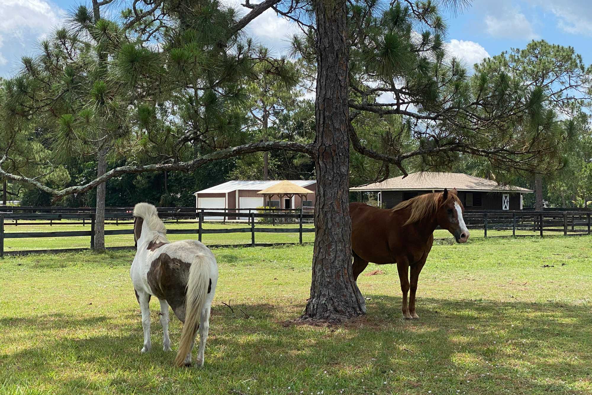 Loxahatchee land in Palm Beach County
