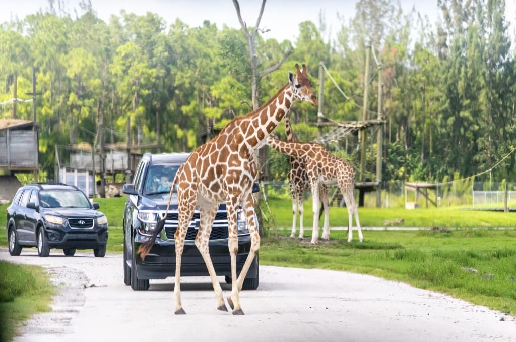 A Loxahatchee property in Palm Beach County